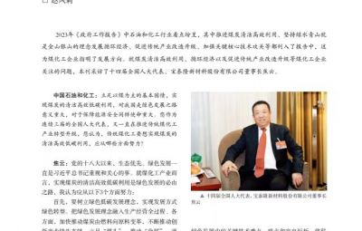 打破傳統(tǒng)走綠色轉(zhuǎn)型之路——訪十四屆全國(guó)人大代表、寶泰隆新材料股份有限公司董事長(zhǎng)焦云